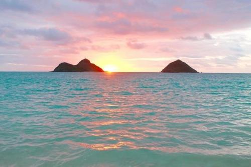 不害怕痛苦的人是坚强的,不害怕死亡的人更坚强