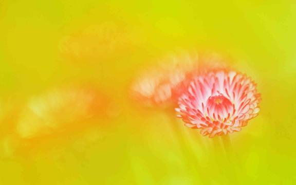 有一位画家,拿手做减法,他是毕加索