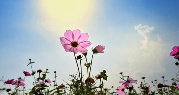 有个渔人有着一流的捕鱼技能,尊称为渔王